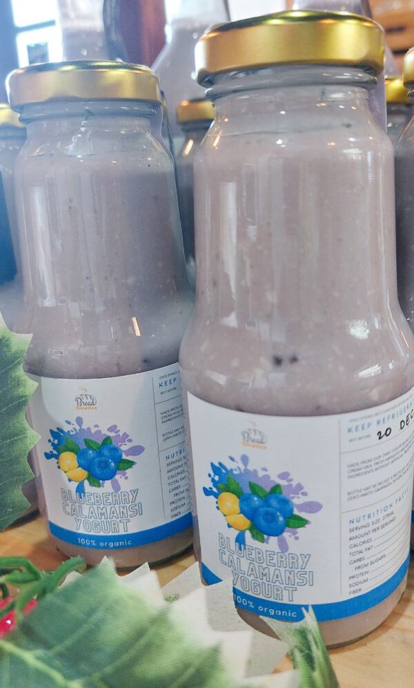 Blueberry Yogurt